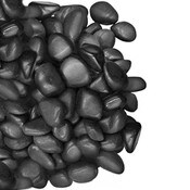 Medium Polished Black Pebble